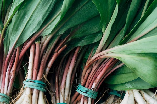 Кракен нарка шоп