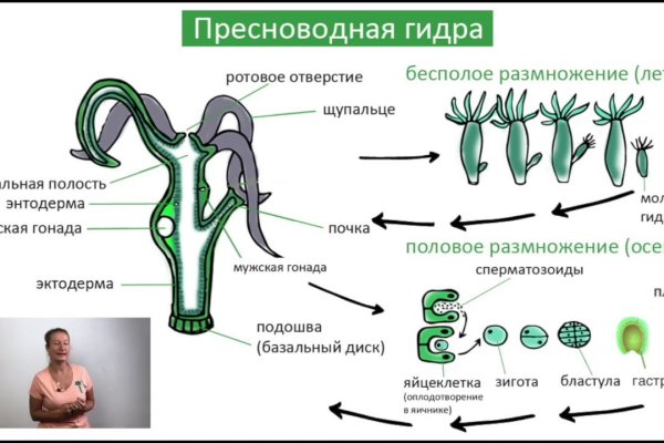 Как восстановить аккаунт в кракен