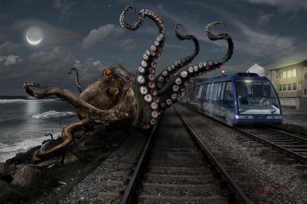 Kraken рабочее зеркало