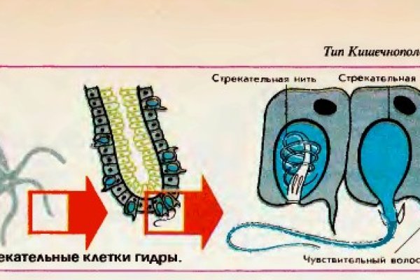 Кракен маркетплейс в питере