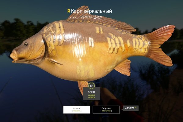 Актуальные ссылки на кракен тор