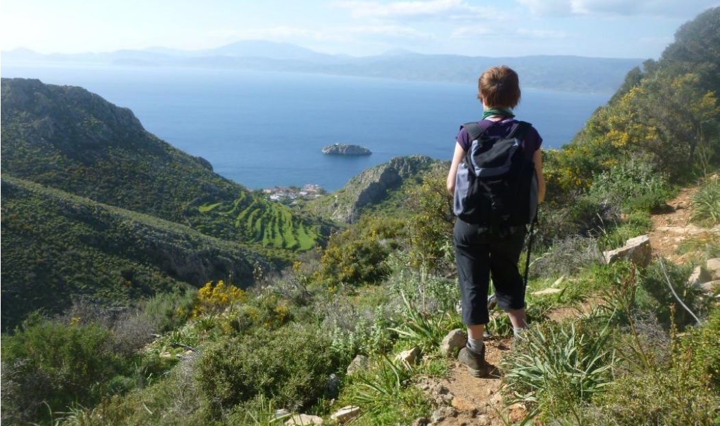 Браузер для кракен